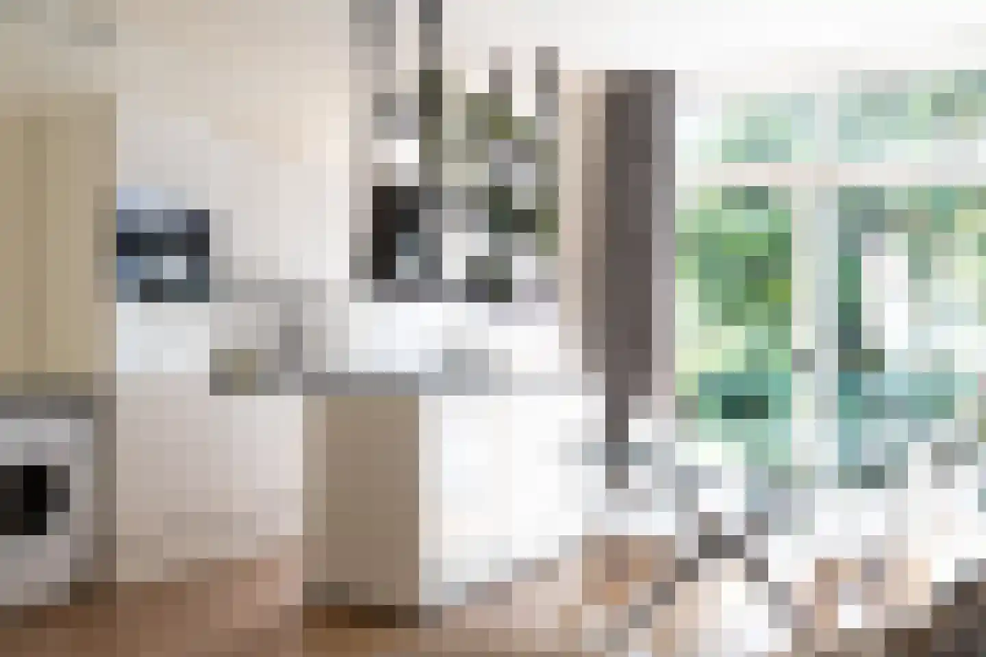 Frans Bekkerstraat 42 B Rotterdam thumbnail 14