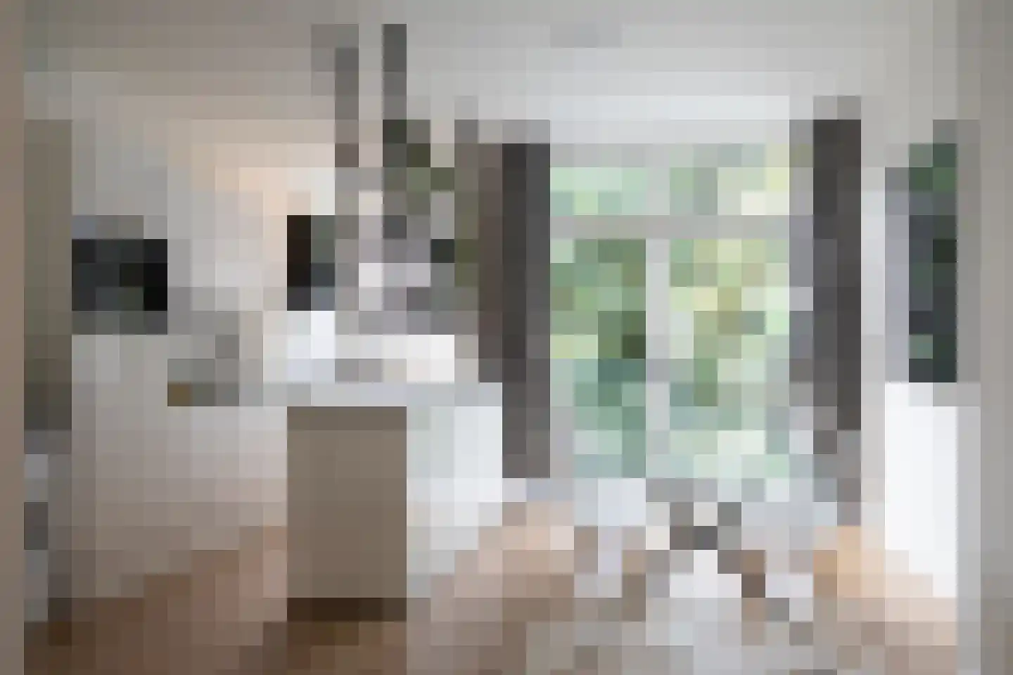Frans Bekkerstraat 42 B Rotterdam thumbnail 15