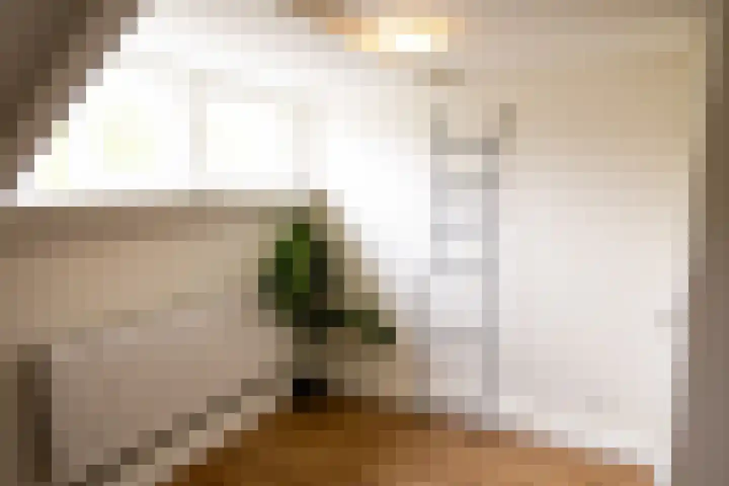 Frans Bekkerstraat 42 B Rotterdam thumbnail 38
