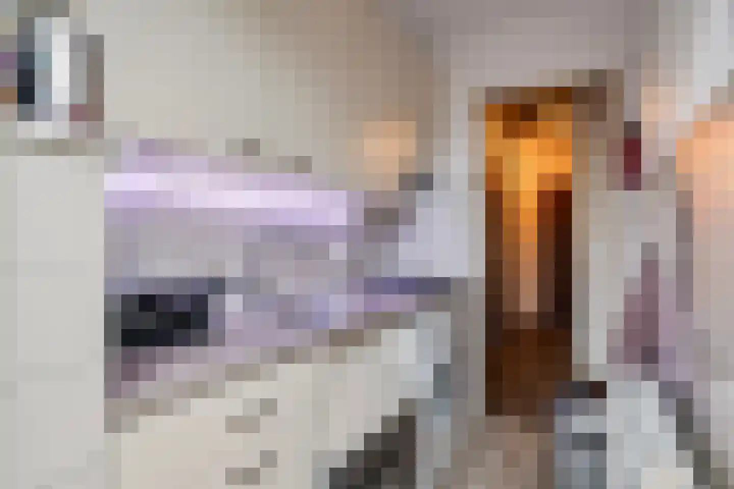 Frans Bekkerstraat 82 A Rotterdam thumbnail 4