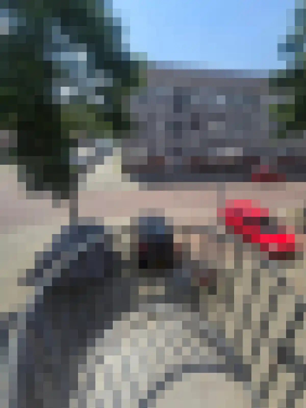 Frans Bekkerstraat 85 Rotterdam thumbnail 4