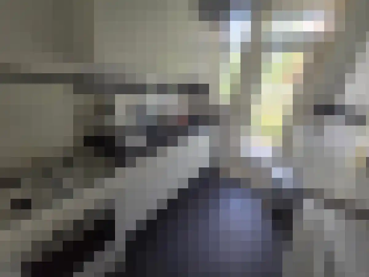 Frans Bekkerstraat 85 Rotterdam thumbnail 6