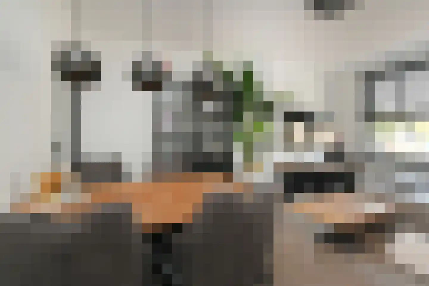 Frans Cobellaan 36 Voorburg thumbnail 10