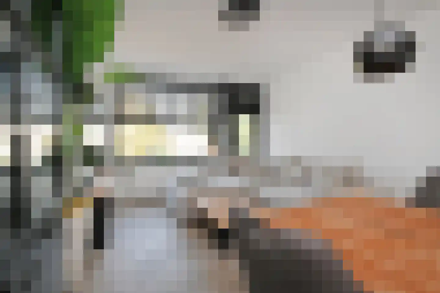 Frans Cobellaan 36 Voorburg thumbnail 11