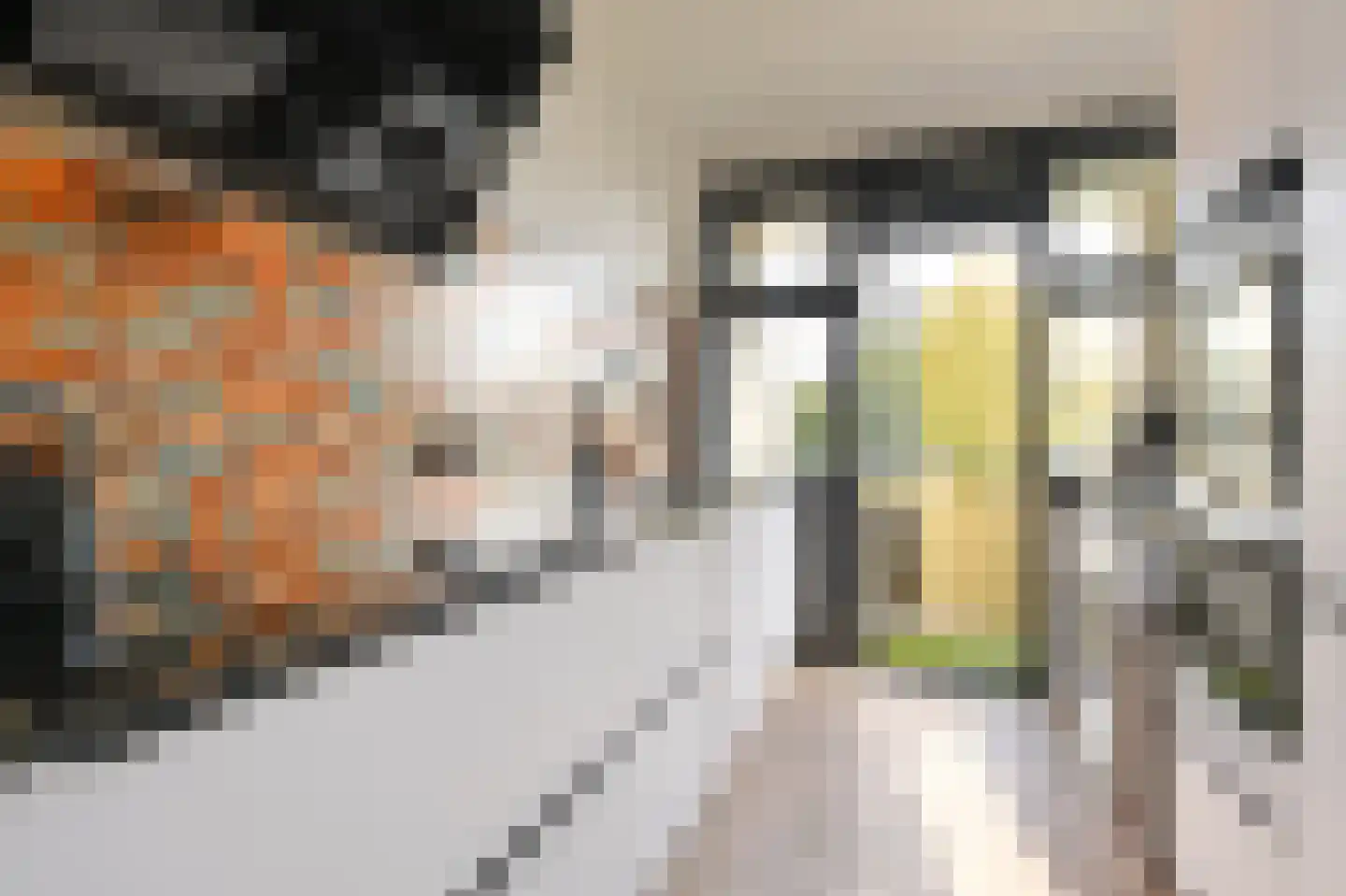 Frans Cobellaan 36 Voorburg thumbnail 14