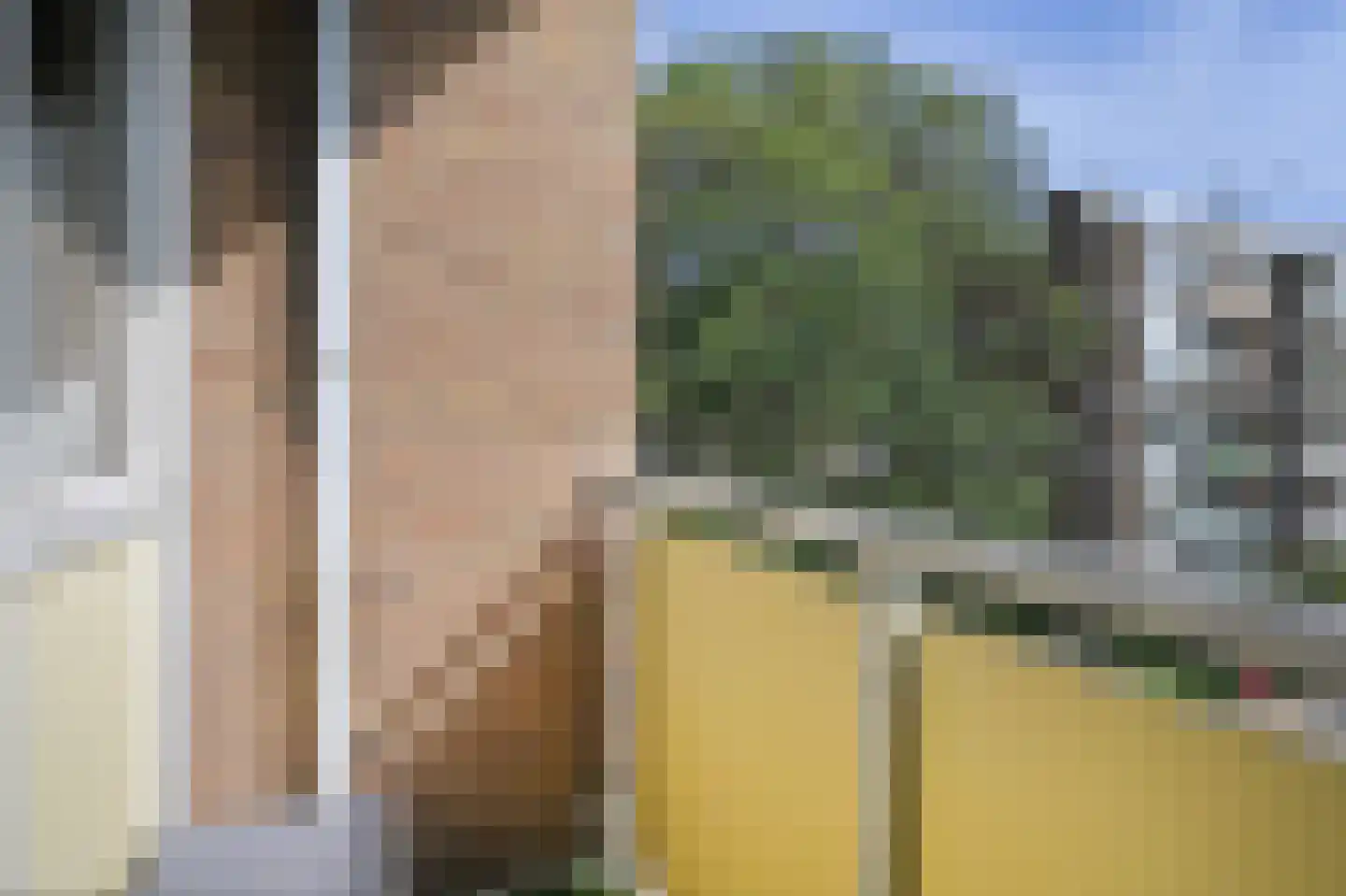 Frans Cobellaan 36 Voorburg thumbnail 16