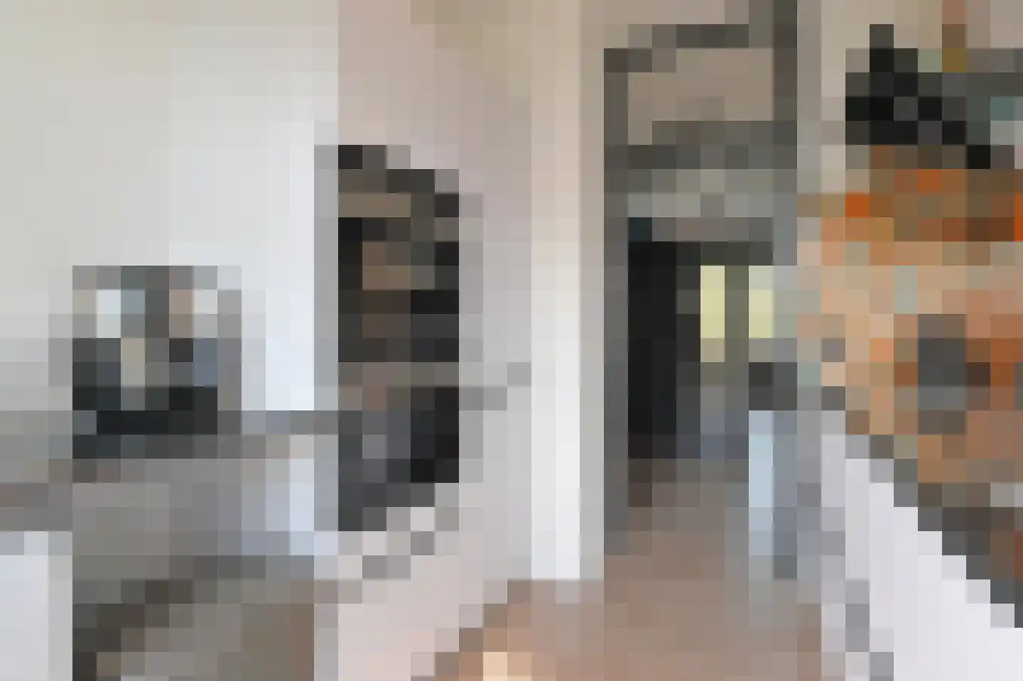 Frans Cobellaan 36 Voorburg thumbnail 18