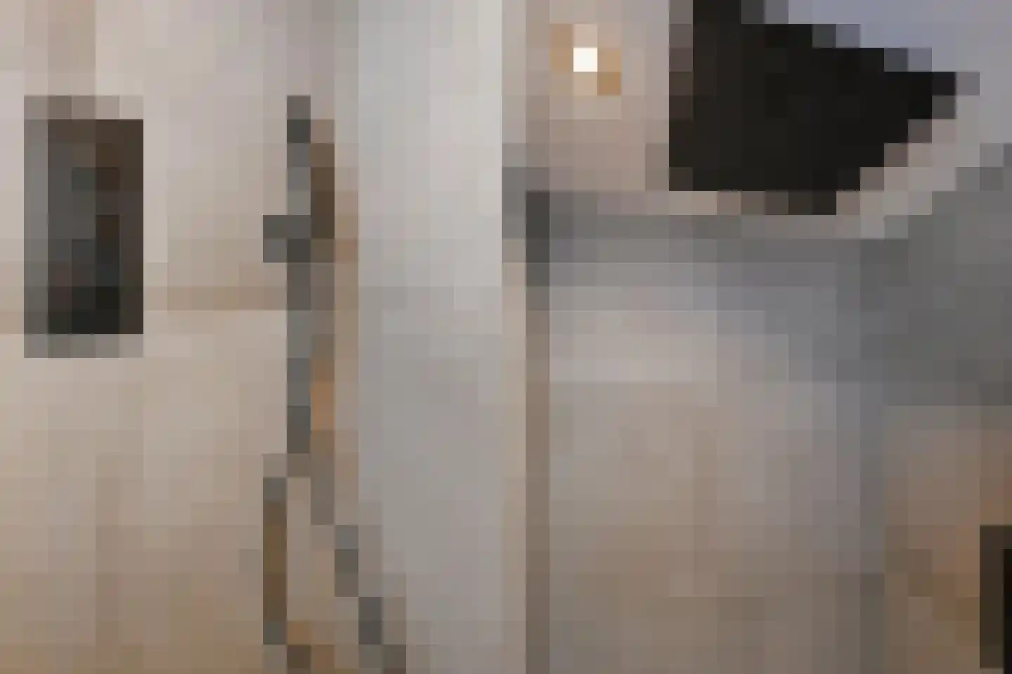 Frans Cobellaan 36 Voorburg thumbnail 20