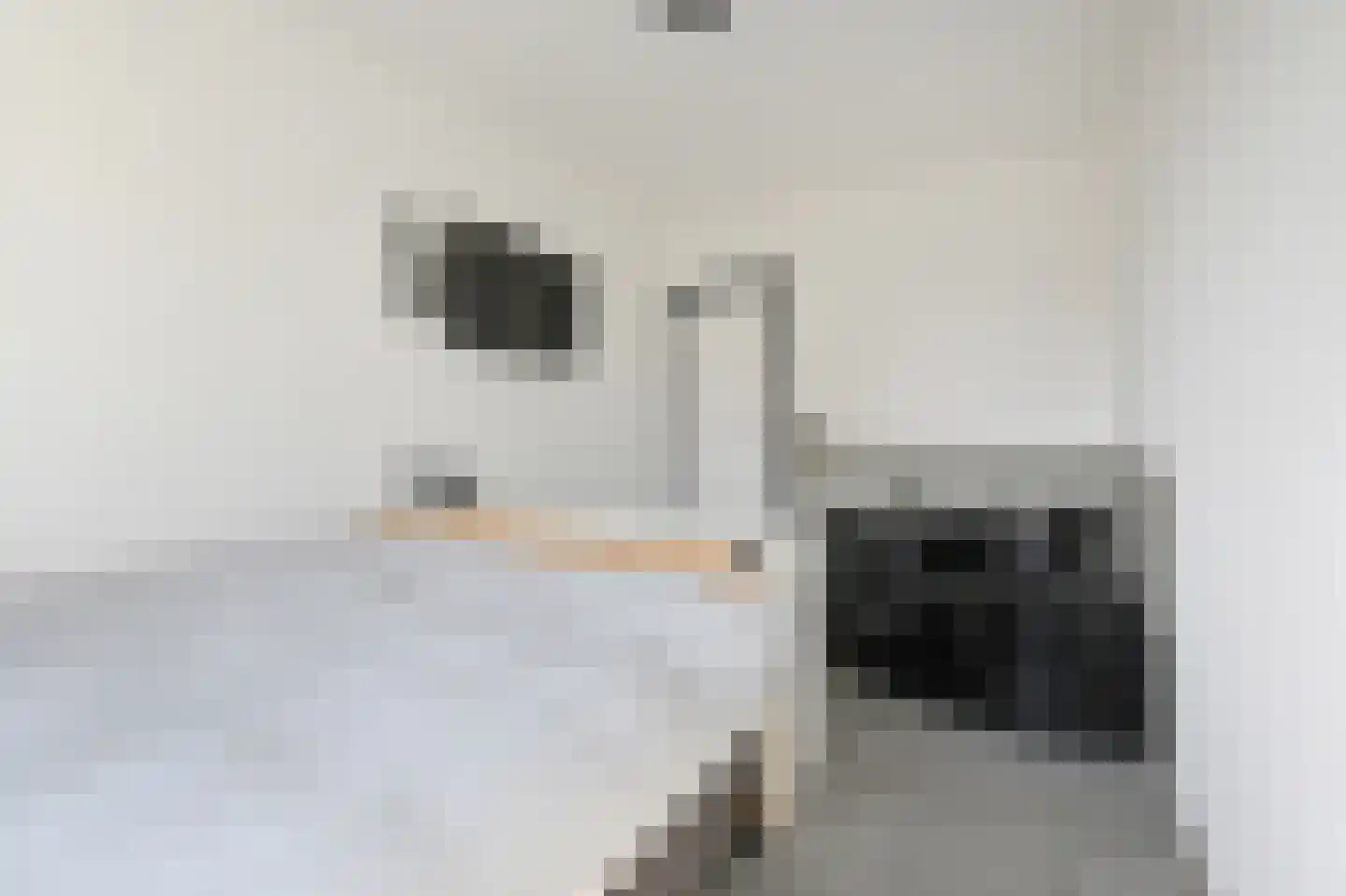 Frans Cobellaan 36 Voorburg thumbnail 22