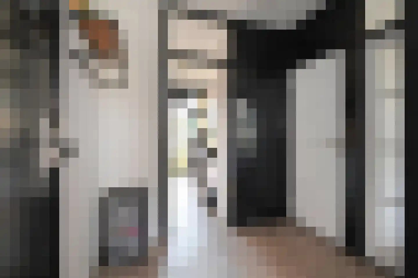 Frans Cobellaan 36 Voorburg thumbnail 8