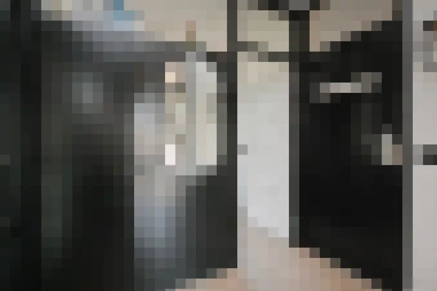 Frans Cobellaan 36 Voorburg thumbnail 9