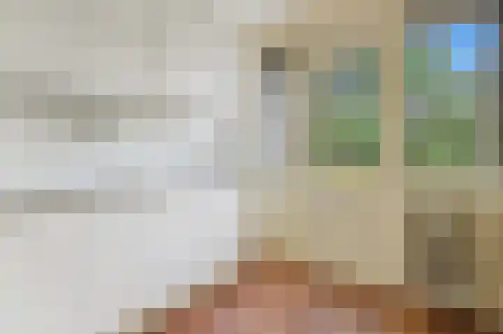 Frans Cobellaan 56 Voorburg thumbnail 17