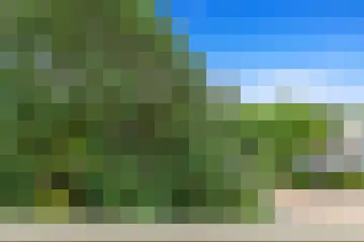 Frans Cobellaan 56 Voorburg thumbnail 21