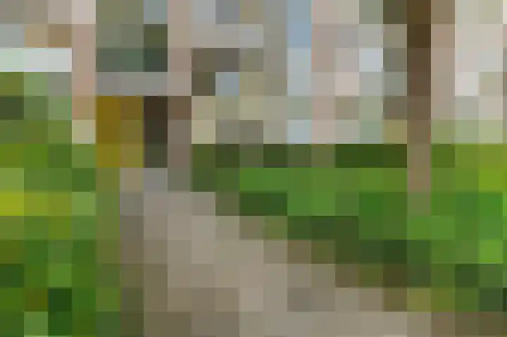 Frans Cobellaan 56 Voorburg thumbnail 7