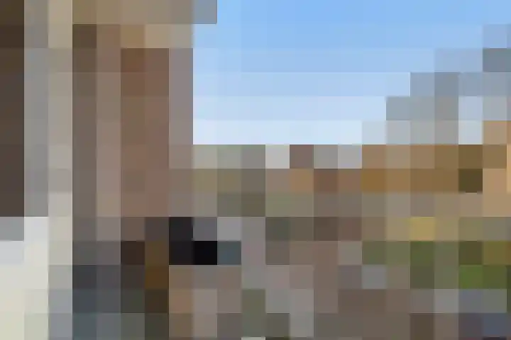 Frans Cobellaan 60 Voorburg thumbnail 14