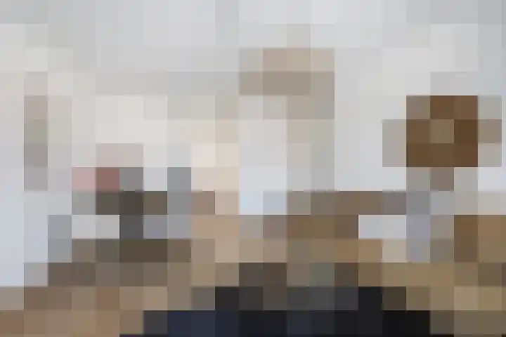 Frans Cobellaan 60 Voorburg thumbnail 15