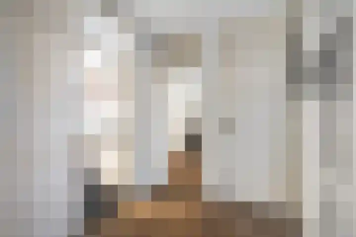 Frans Cobellaan 60 Voorburg thumbnail 17