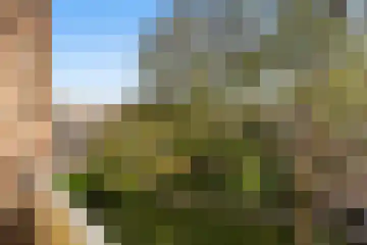 Frans Cobellaan 60 Voorburg thumbnail 21