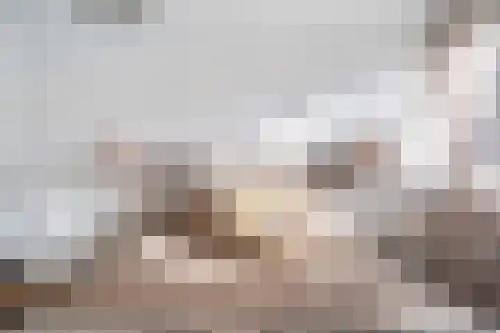 Frans Cobellaan 60 Voorburg thumbnail 25