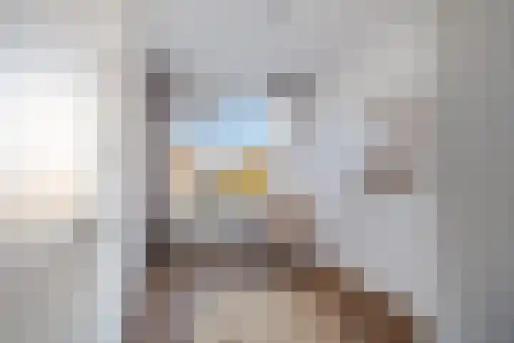 Frans Cobellaan 60 Voorburg thumbnail 30
