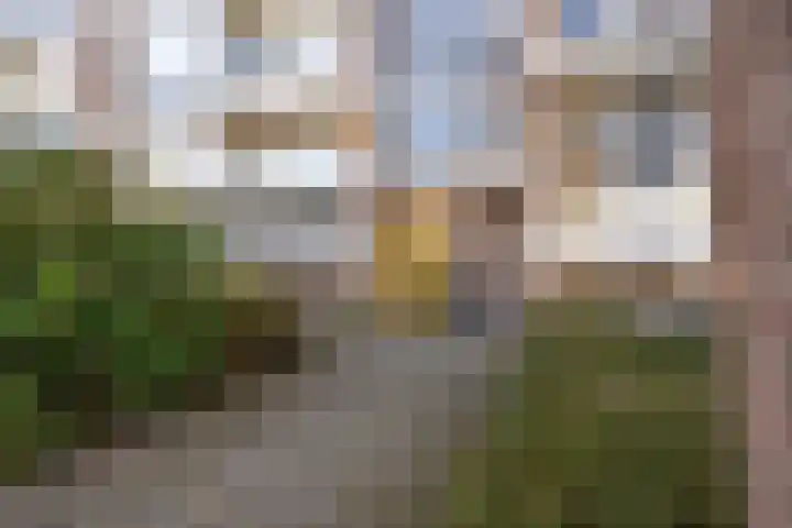 Frans Cobellaan 60 Voorburg thumbnail 8