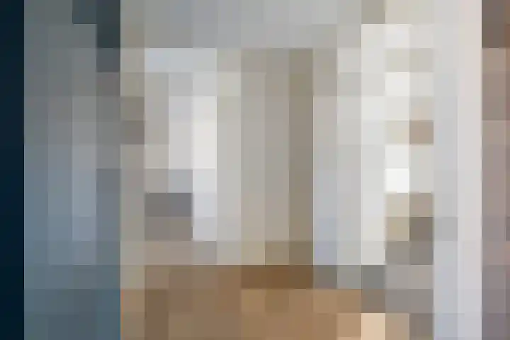Frans Cobellaan 60 Voorburg thumbnail 9