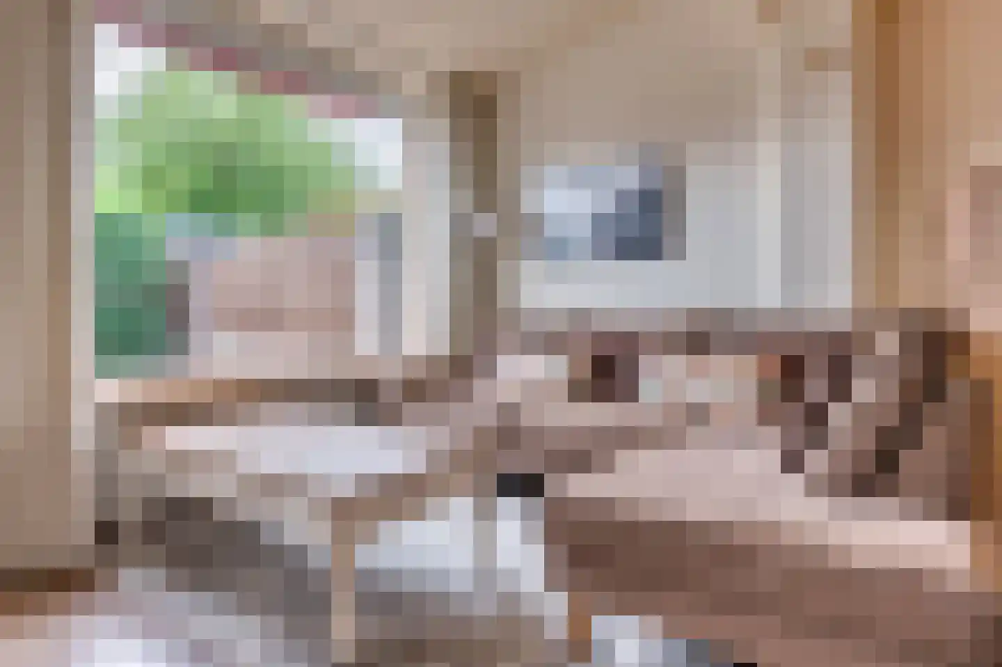 Frans Coehorststraat 14 Venlo thumbnail 10