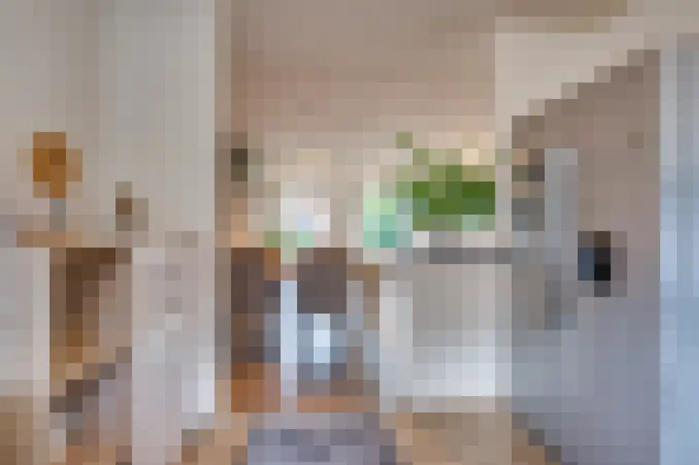 Frans Coehorststraat 14 Venlo thumbnail 18