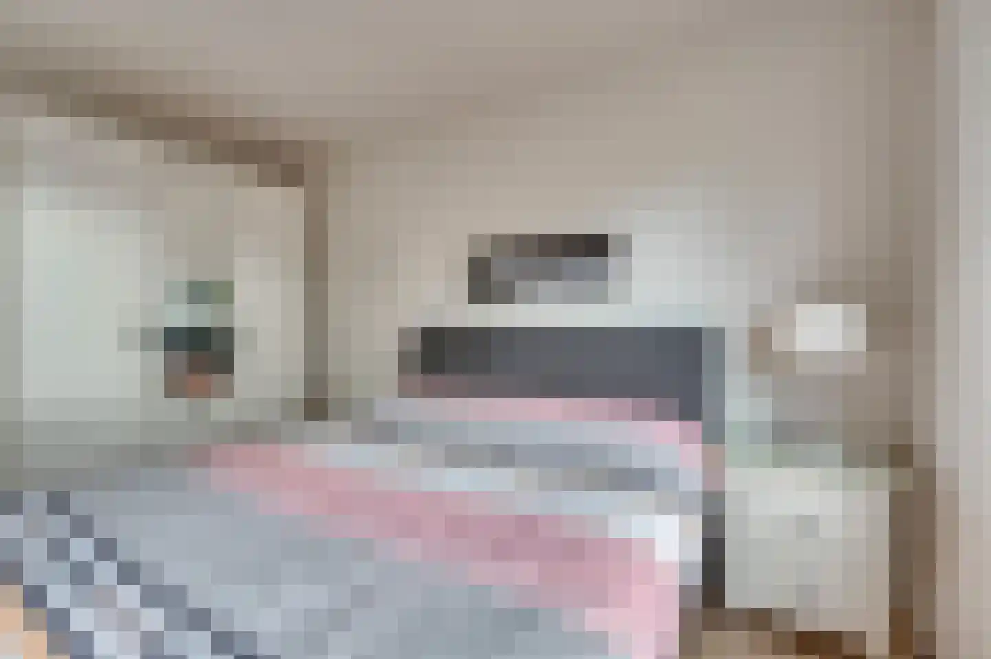 Frans Coehorststraat 14 Venlo thumbnail 23