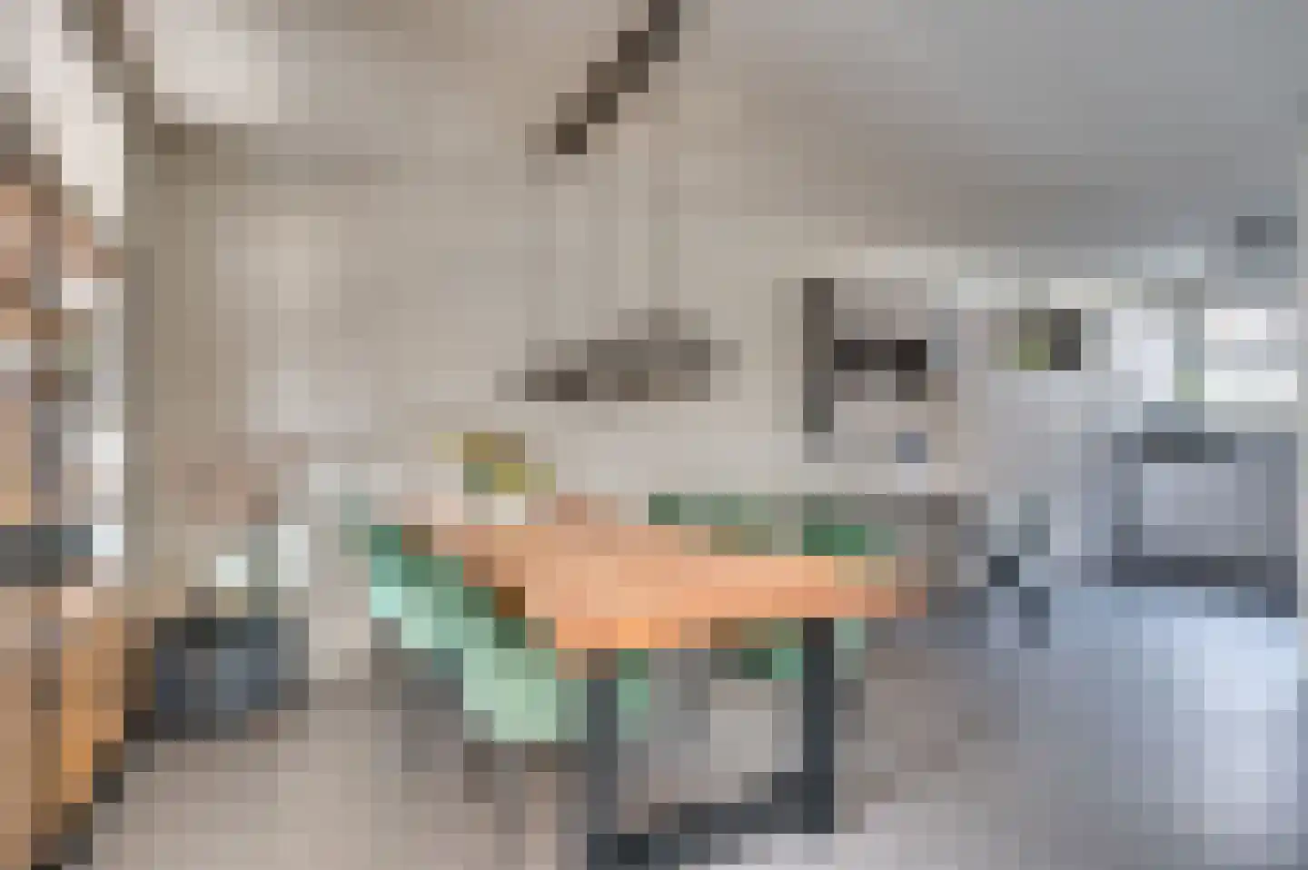 Frans Coehorststraat 20 Venlo thumbnail 13