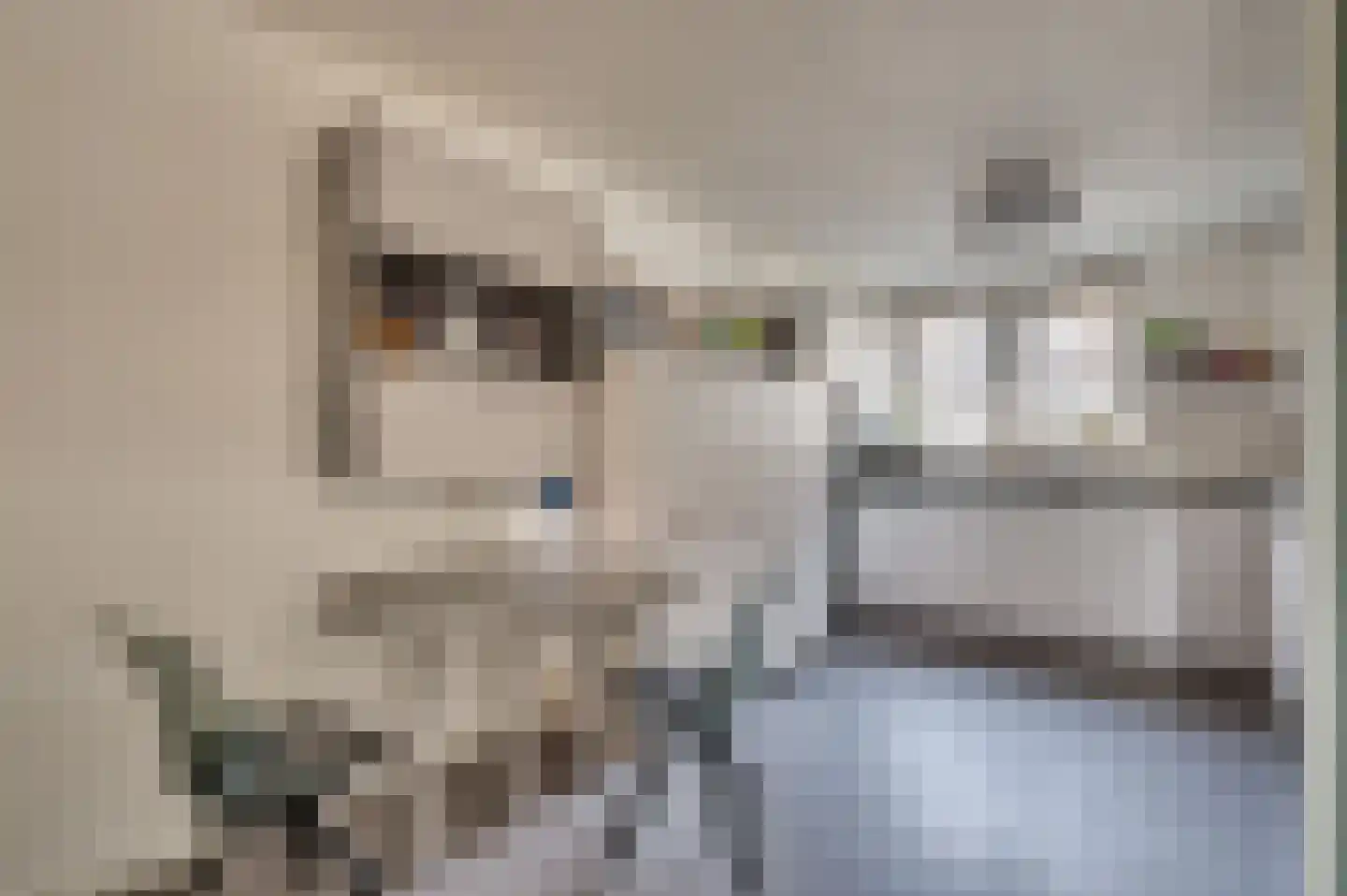 Frans Coehorststraat 20 Venlo thumbnail 14