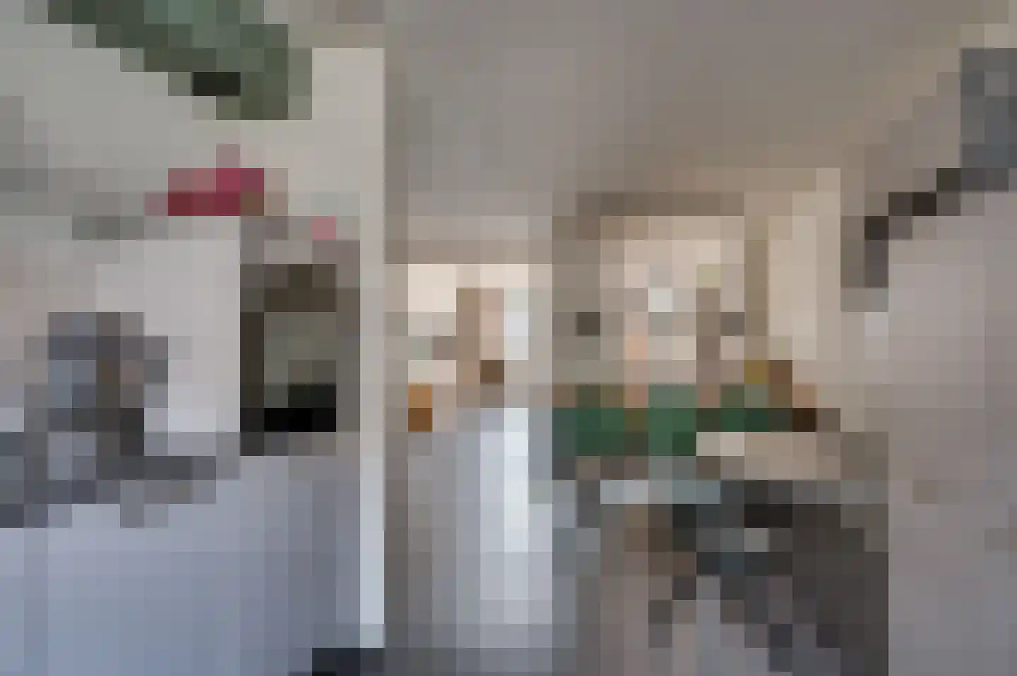 Frans Coehorststraat 20 Venlo thumbnail 17