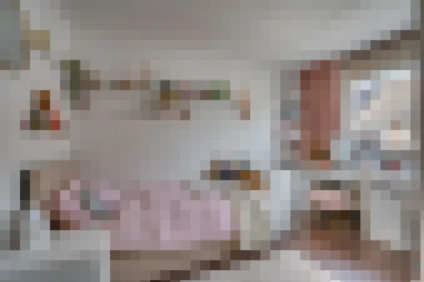 Frans Coehorststraat 20 Venlo thumbnail 20