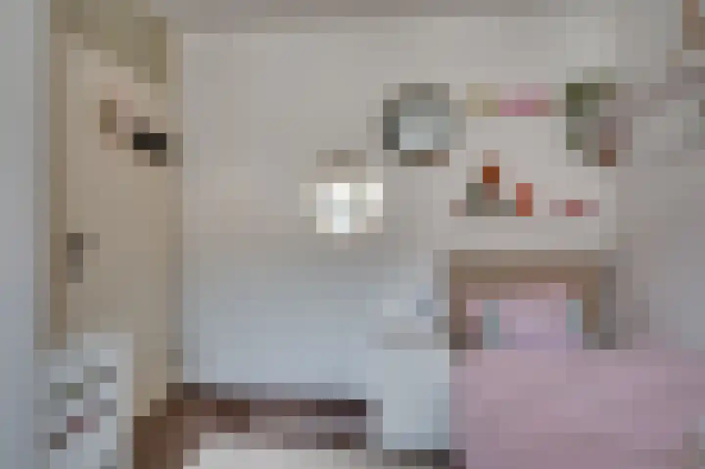Frans Coehorststraat 20 Venlo thumbnail 22