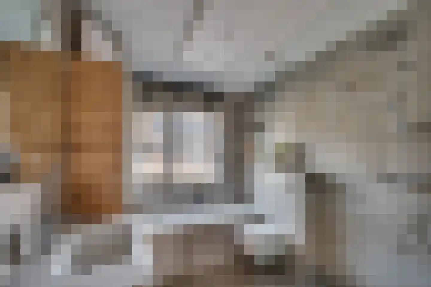 Frans Coehorststraat 20 Venlo thumbnail 23