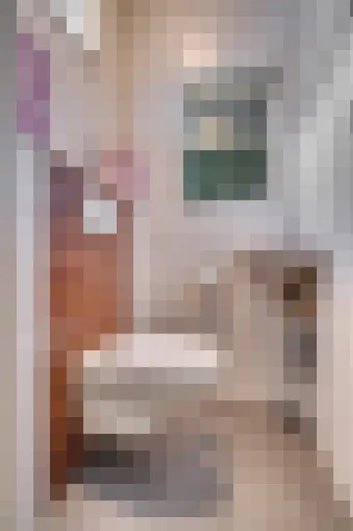 Frans Coehorststraat 20 Venlo thumbnail 5