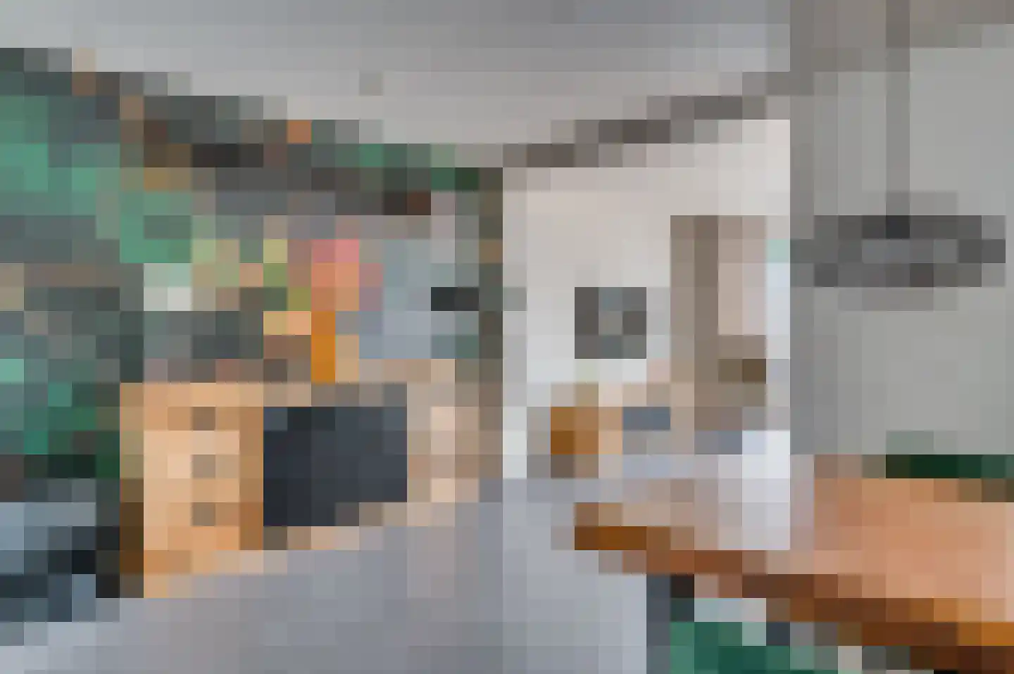 Frans Coehorststraat 20 Venlo thumbnail 8