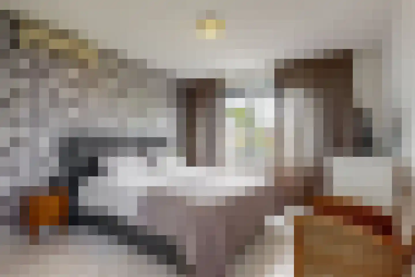 Frans Coenenhove 32 Nieuwegein thumbnail 20