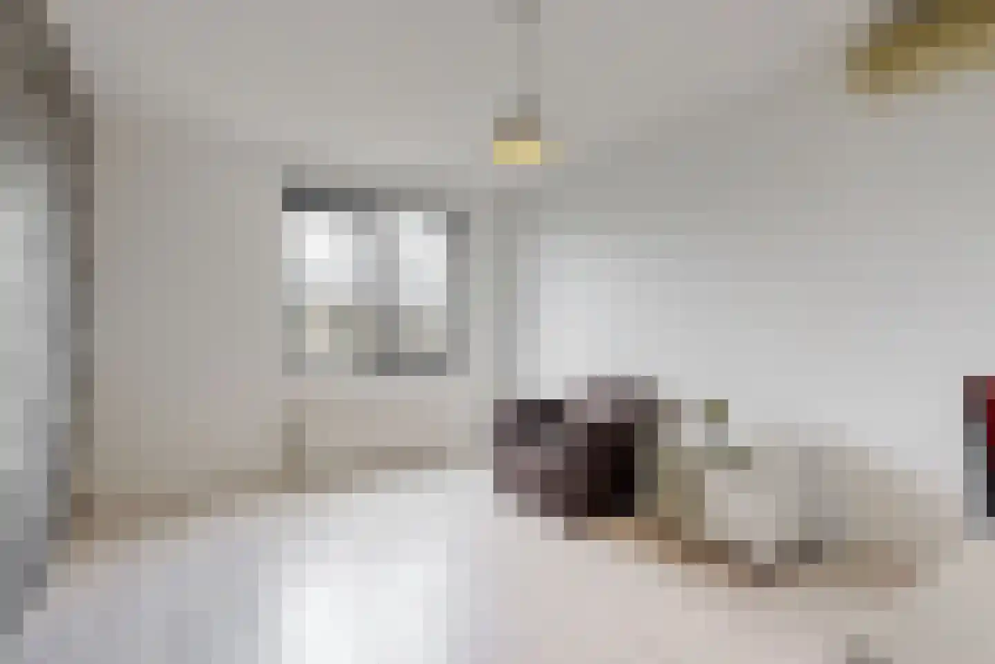 Frans Coenenhove 32 Nieuwegein thumbnail 22