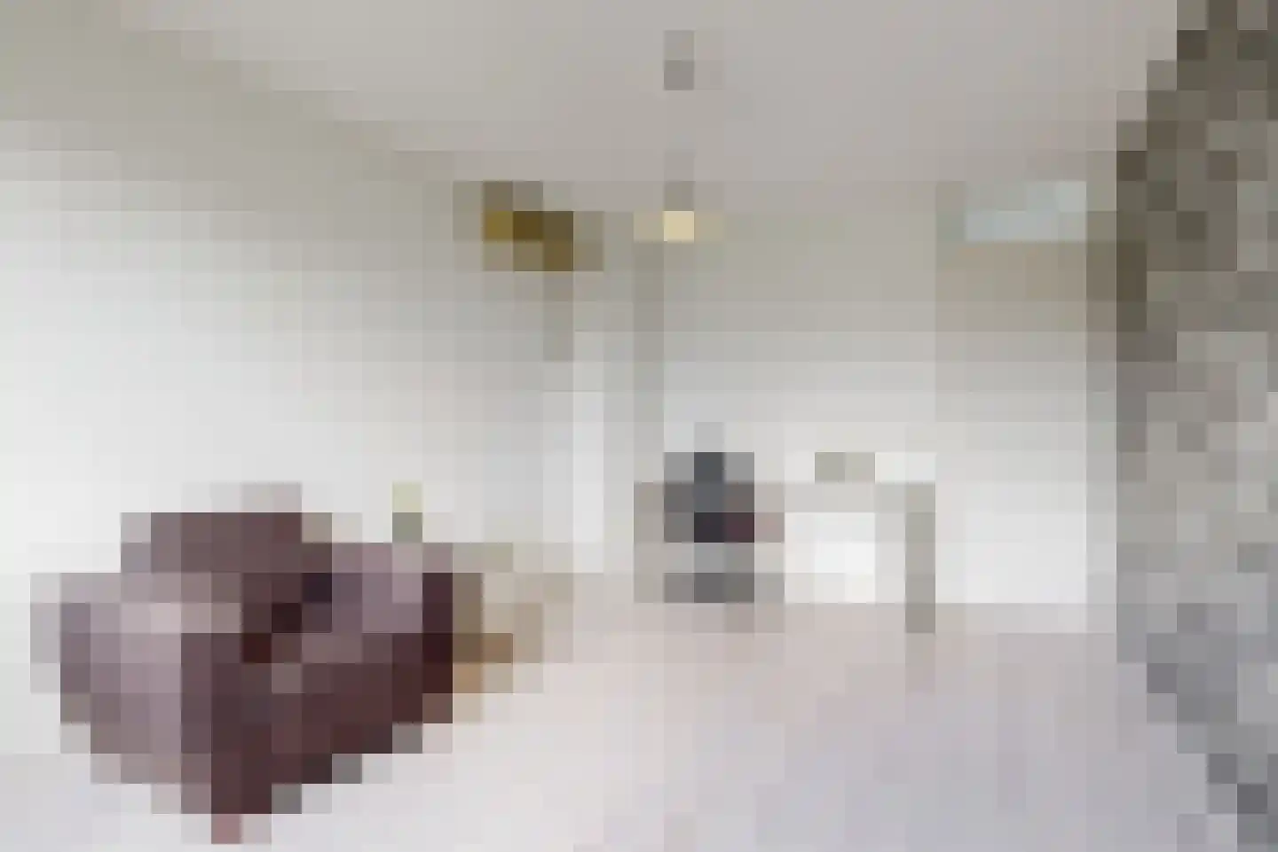 Frans Coenenhove 32 Nieuwegein thumbnail 23