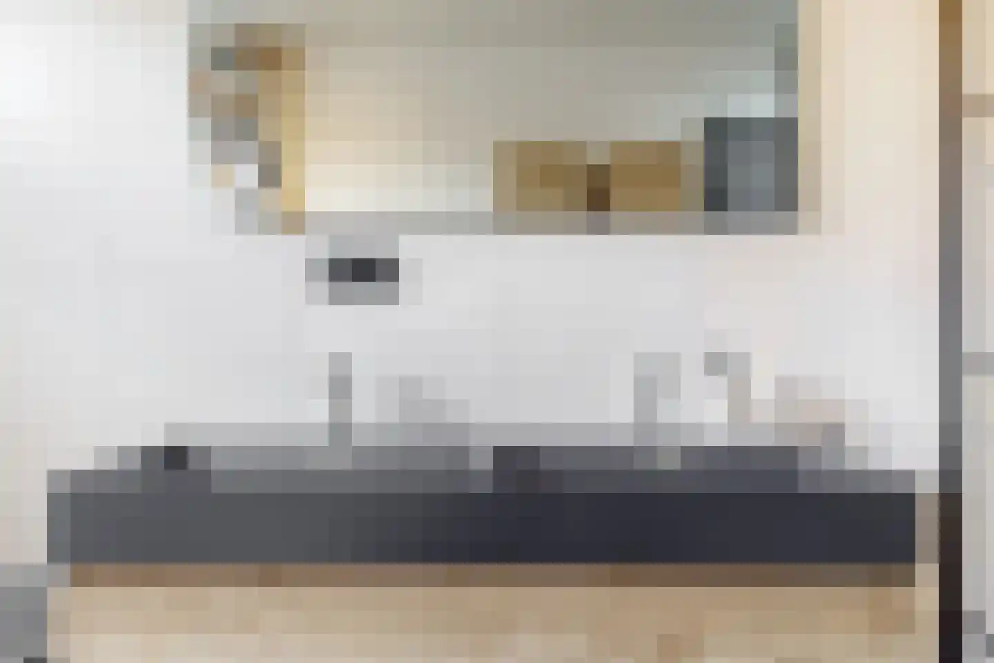 Frans Coenenhove 32 Nieuwegein thumbnail 27
