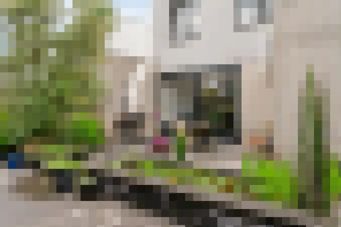 Frans Coenenhove 32 Nieuwegein thumbnail 35