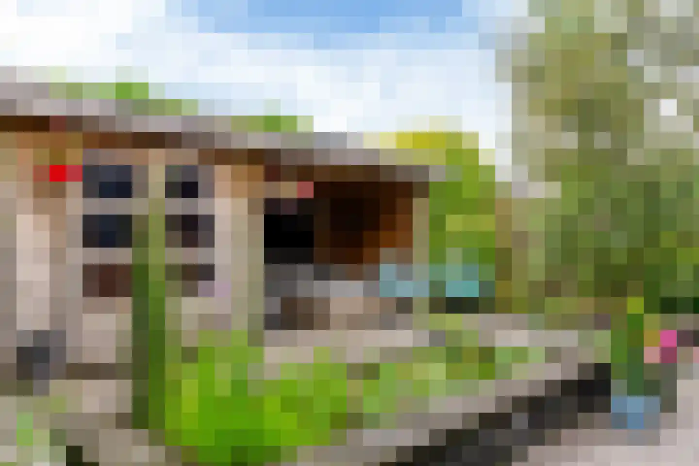 Frans Coenenhove 32 Nieuwegein thumbnail 36