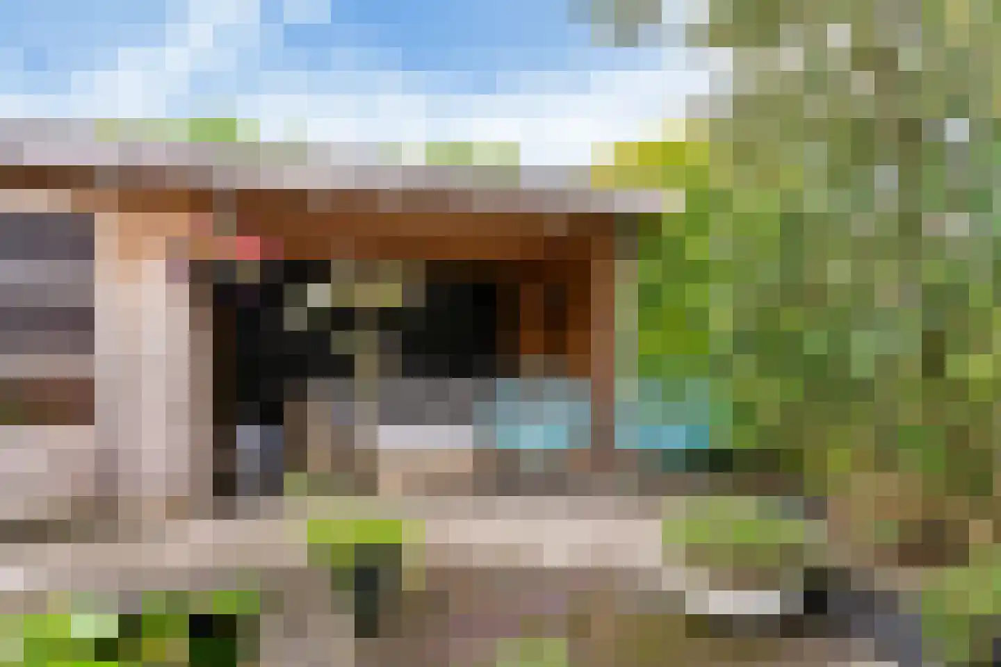 Frans Coenenhove 32 Nieuwegein thumbnail 37