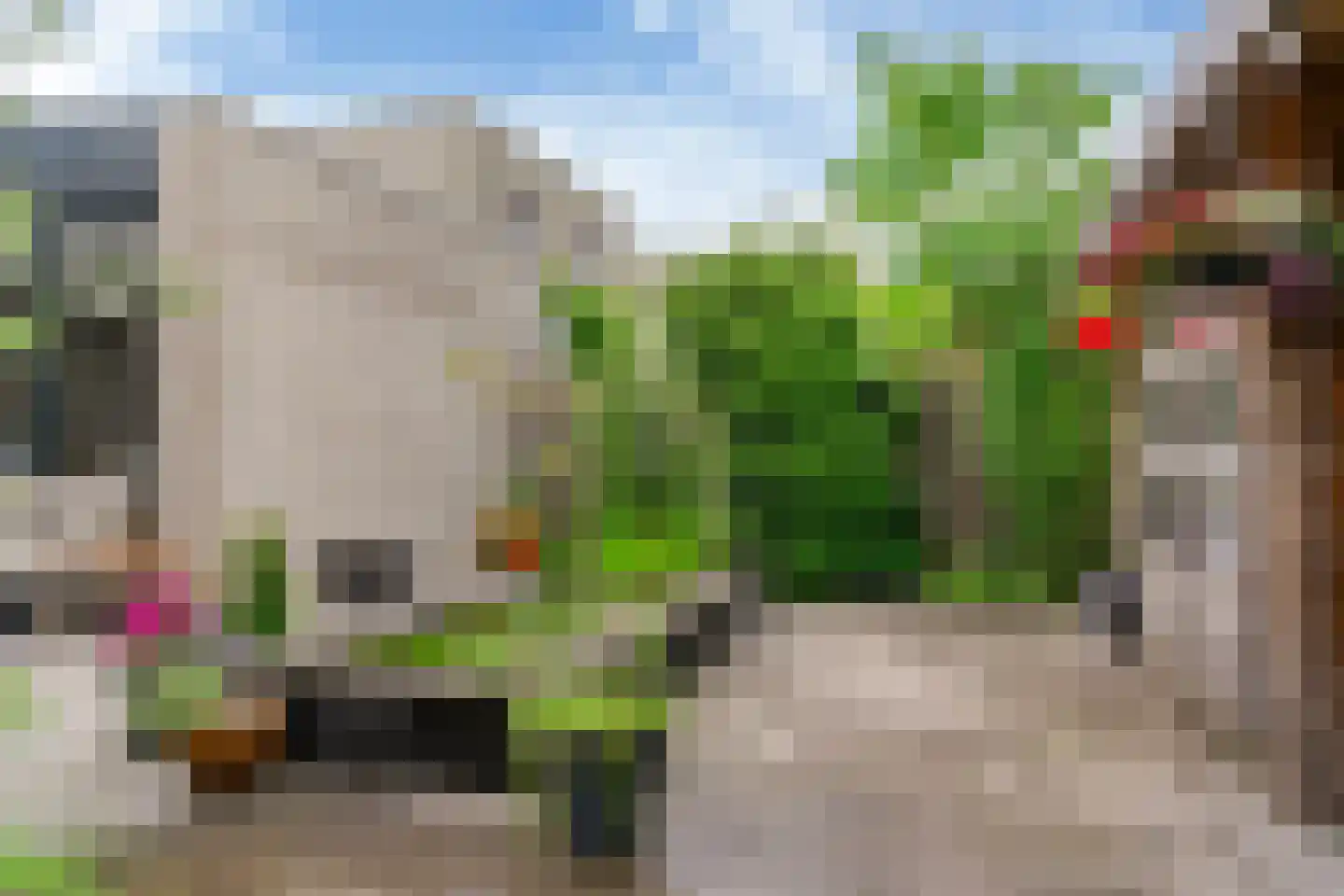 Frans Coenenhove 32 Nieuwegein thumbnail 39