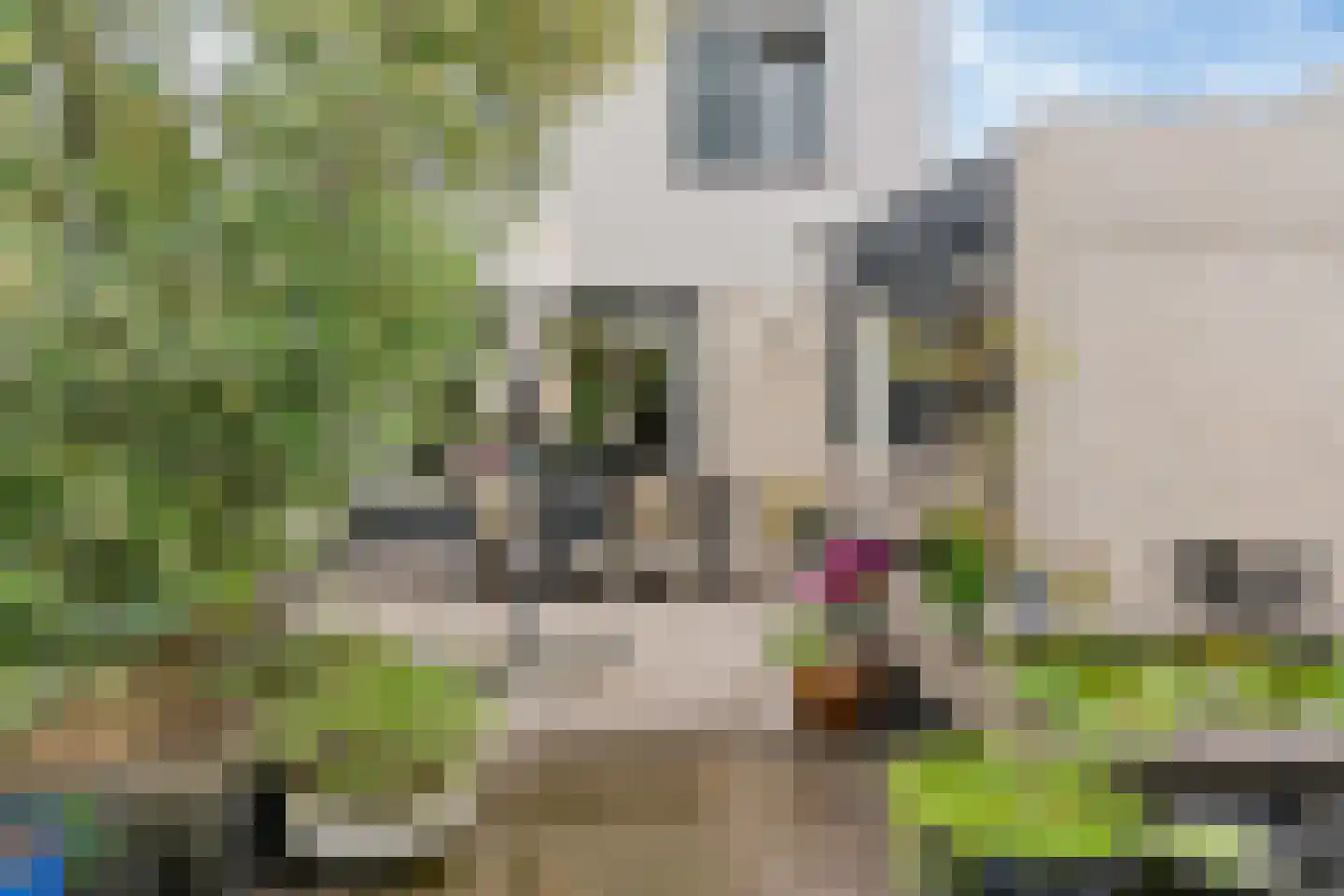Frans Coenenhove 32 Nieuwegein thumbnail 40