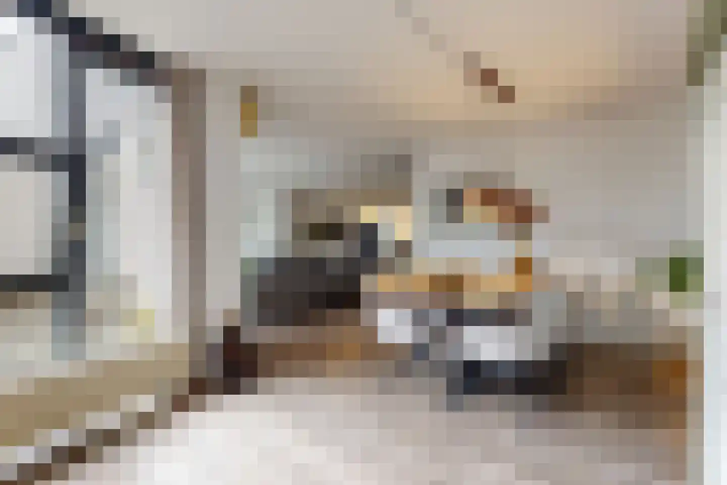 Frans Coenenhove 32 Nieuwegein thumbnail 8