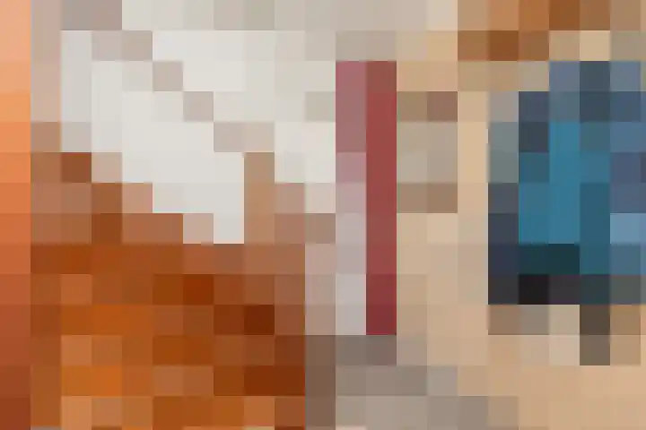 Frans Coenenstraat 6 Papendrecht thumbnail 11