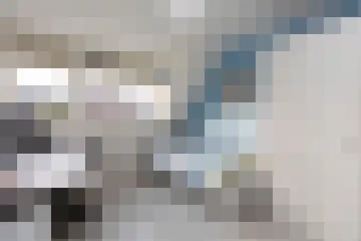 Frans Coenenstraat 6 Papendrecht thumbnail 16