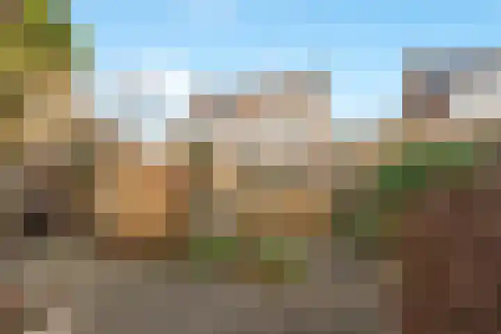 Frans Coenenstraat 6 Papendrecht thumbnail 26
